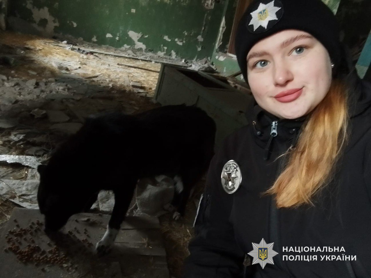 У Кам’янському хлопчик рятував безпритульних собак і сам опинився в пастці