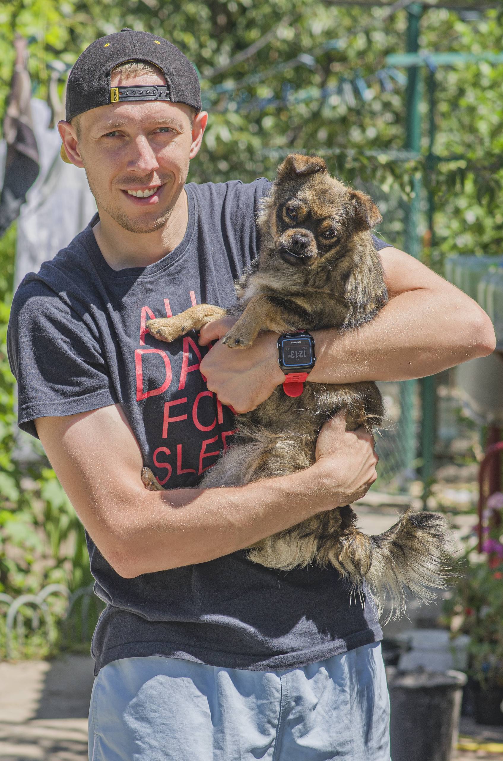 У Дніпрі після другого обстрілу запрацювала ветклініка «Панда»: історія відродження