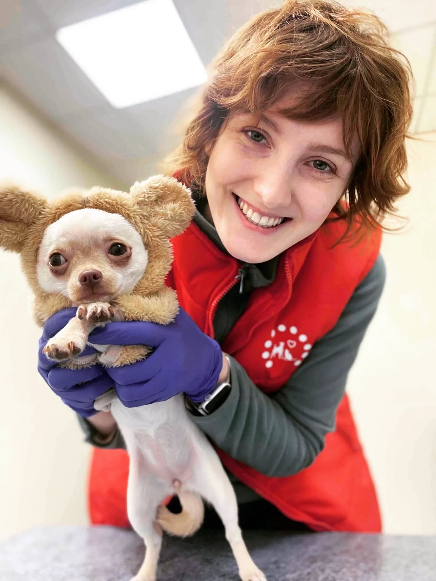 У Дніпрі після другого обстрілу запрацювала ветклініка «Панда»: історія відродження