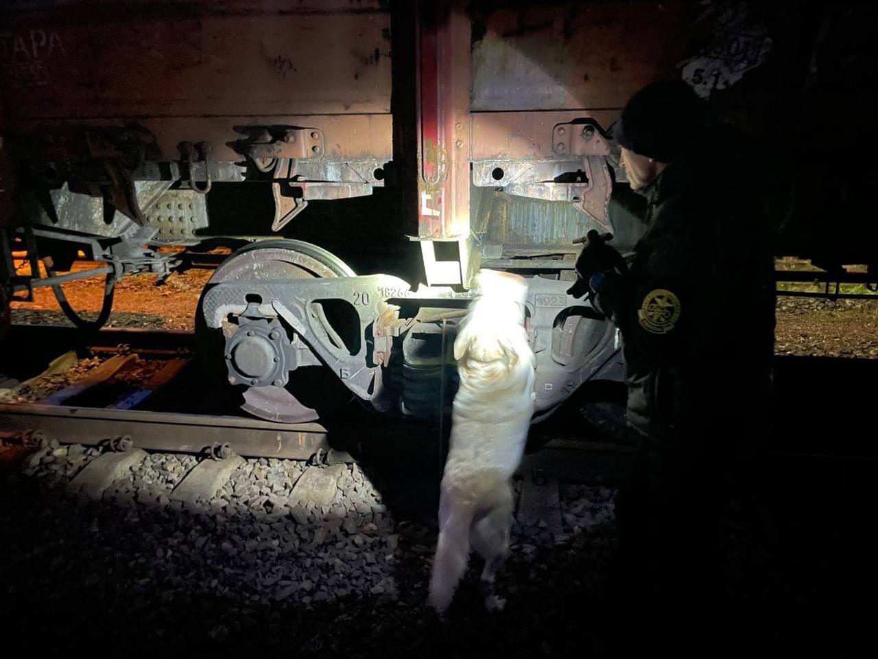 Контрабанда під рудою: митники знайшли сигарети у потязі з Кривого Рогу до Словаччини