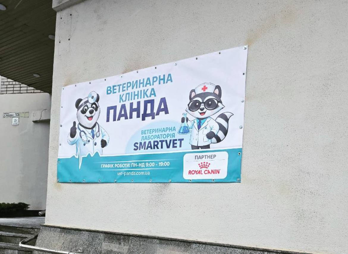 Натисни щоб дізнатись більше про: У Дніпрі після другого обстрілу запрацювала ветклініка «Панда»: історія відродження