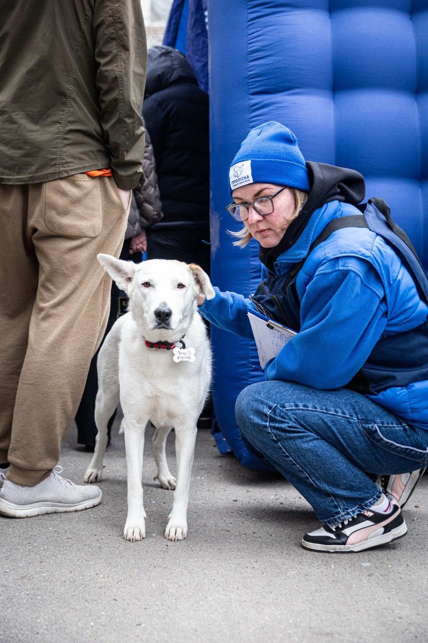 Як Дніпро оговтується після двох атак – фоторепортаж із місць ударів