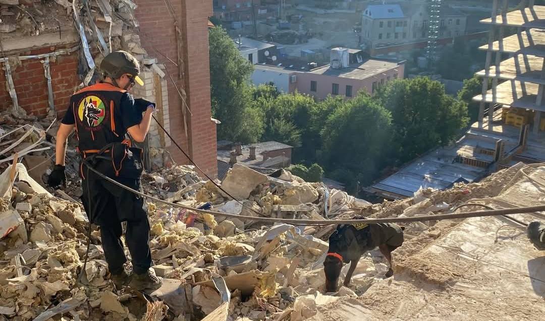 Знайшла понад 170 загиблих і рятувала людей: померла легендарна собака Ханна з Павлограда