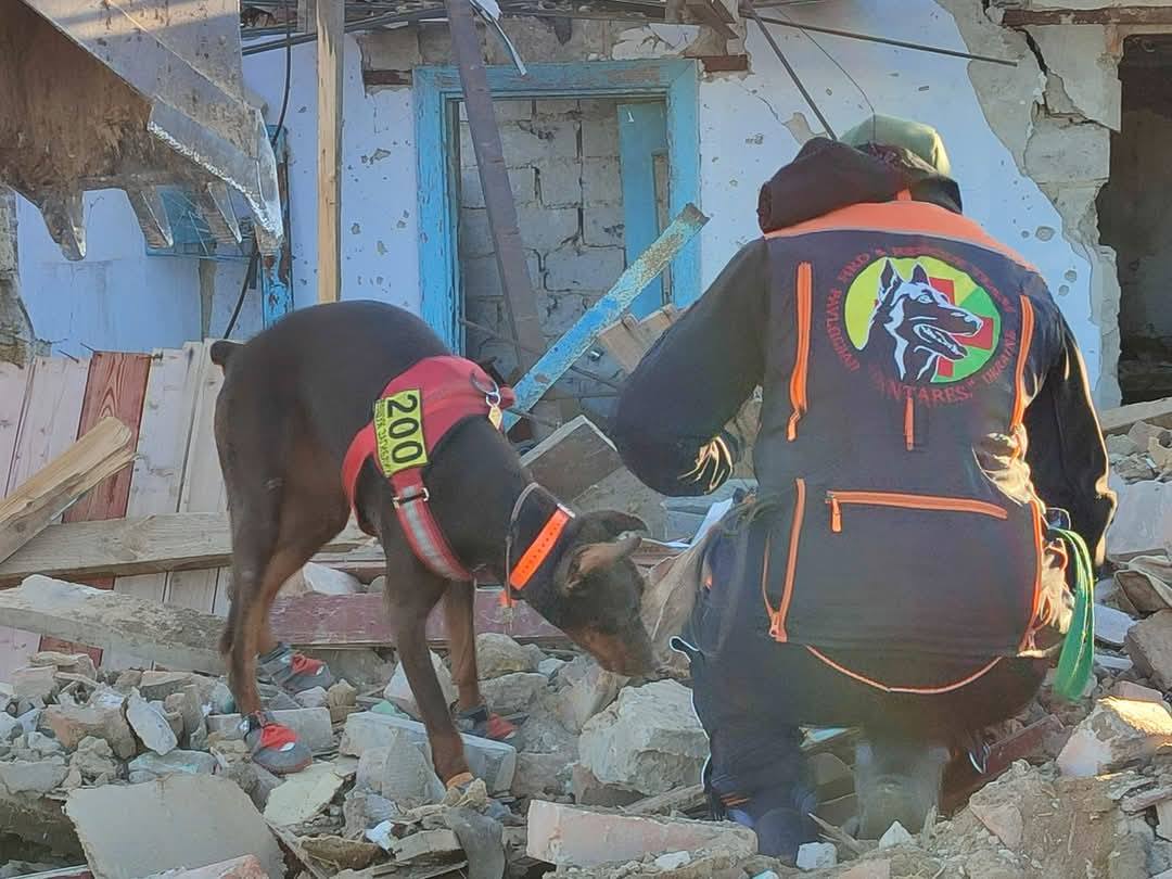 Знайшла понад 170 загиблих і рятувала людей: померла легендарна собака Ханна з Павлограда