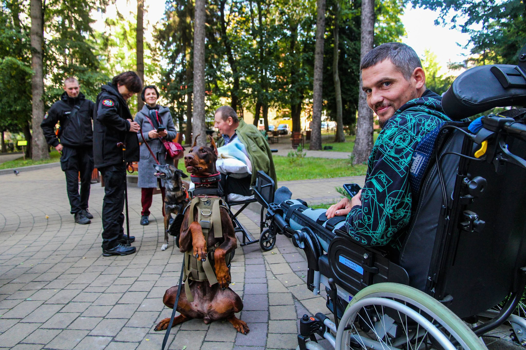 Знайшла понад 170 загиблих і рятувала людей: померла легендарна собака Ханна з Павлограда