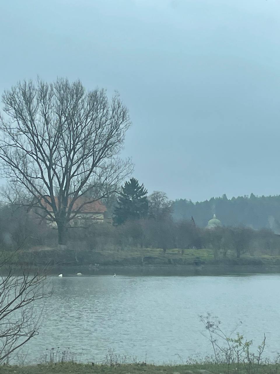 Навіщо сімейна пара з Дніпра купила занедбаний млин на Тернопільщині