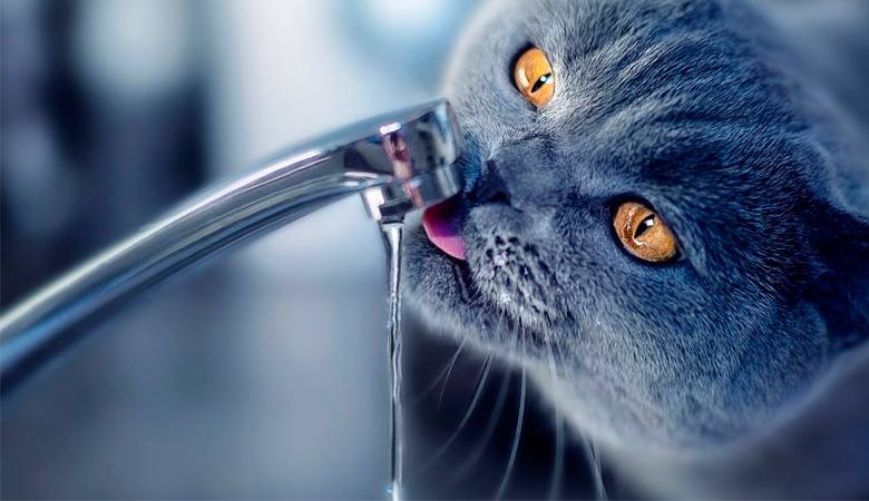 Натисни щоб дізнатись більше про: У Дніпрі майже на добу відключать воду: перелік адрес у Соборному районі